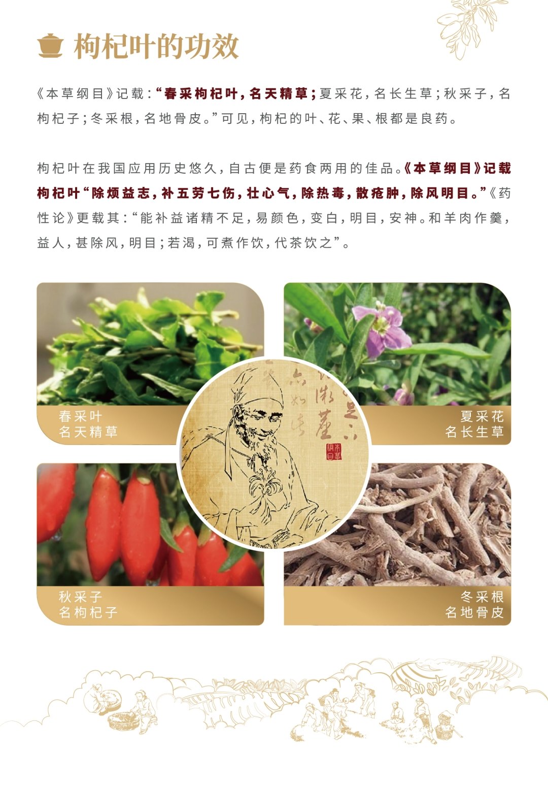 养生茶馆加盟店排行榜免费加盟的简单介绍