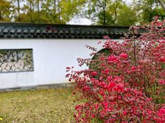 -上海醉白池公园