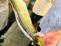 现钓现吃的大鱼-长廊好灶头 本地人农家菜(枫泾古镇店)