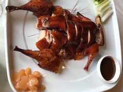 -泓0871臻选云南菜·味庄