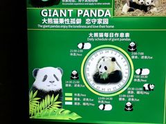 -海南热带野生动植物园