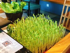 豆苗-五星桥原切肥牛火锅·30年专注好牛肉(湖塘店)