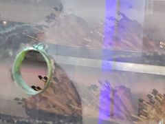 -一代烤翅王(大汉口店)