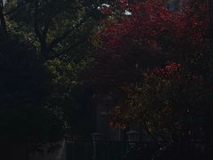 -星巴克臻选(思南公馆店)