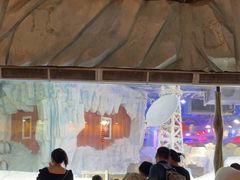 -芜湖新华联大白鲸海洋公园