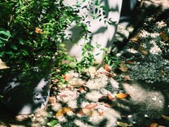 -花苑里咖啡(威远店)
