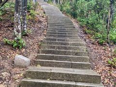 -梧桐山风景名胜区