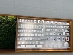 -Apple零售店(苏州店)