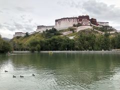 -宗角禄康公园