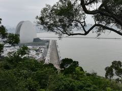 -野狸岛