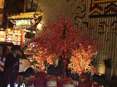 -蛙蛙叫干锅年代(簋街总店)
