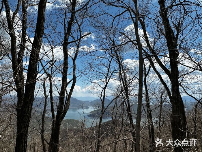 吉林市朱雀山国家森林公园图片