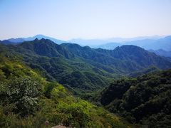-大岭沟猕猴桃谷风景区