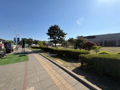 -莫子山公园