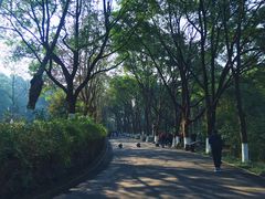 -韶山毛泽东同志故居