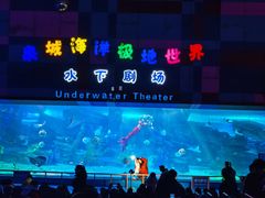 -泉城欧乐堡海洋极地世界