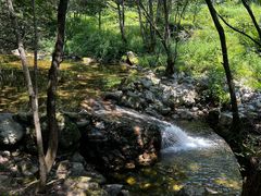 -牛背梁国家森林公园