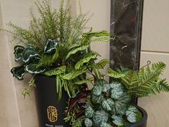 -和康·佳韵酒楼(合信路店)