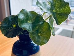 餐具摆设-莲餐厅·湖北菜·藕汤是头牌(愚园路店)