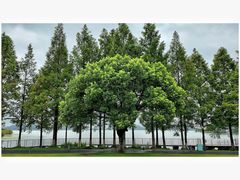 -东钱湖旅游度假区