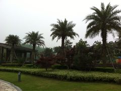iphone_upload_pic-宁波九龙湖开元度假村