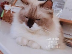 -灯塔咖啡馆BOOK·Coffee Shop