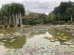 -中国科学院西双版纳热带植物园