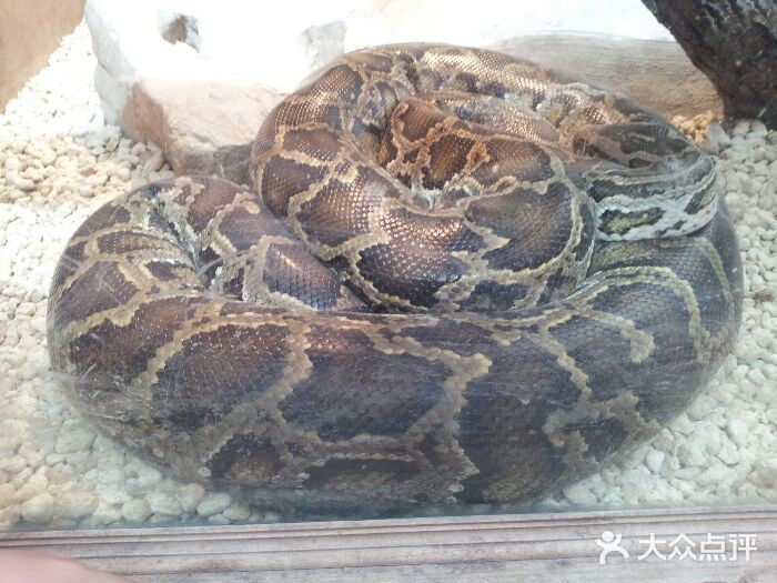 上海大自然野生昆虫馆android_upload_pic图片