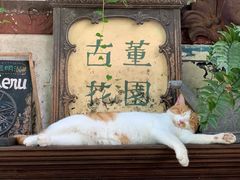 -古董花园(思南路42弄小区店)
