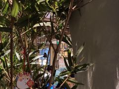 -野妹经典火锅(民治店)