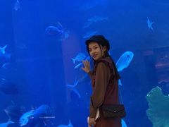 -迪拜水族馆及水下动物园