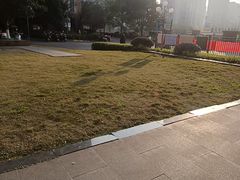 -巢爷老味(东方红店)