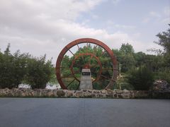 -洋湖国家湿地公园