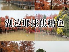 -海珠湖公园