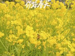 -花博汇(知音花月夜)