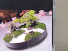 -上海金桥红枫万豪酒店-万豪中餐厅