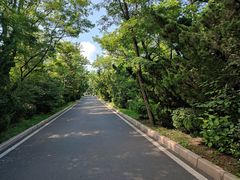 -棒棰岛宾馆景区