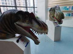 -安徽省地质博物馆