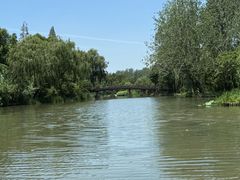 -溱湖国家湿地公园