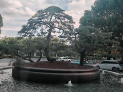 -上海宝华万豪酒店