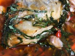 -老字号怡玺·藿香雅鱼(20年雅安店)