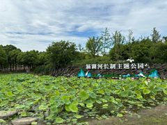 -滆湖低碳生态公园