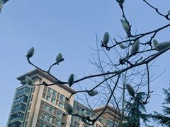 -木塔寺遗址生态公园