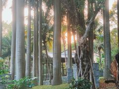 -深圳国际园林花卉博览园