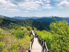 -大岭沟猕猴桃谷风景区