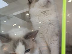 -萌兽医馆·眼科·异宠专科(三里屯店)