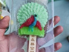 -西双版纳原始森林公园