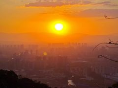 -杭州半山国家森林公园