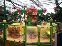 -南宫五洲植物乐园