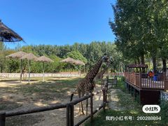 -北京野生动物园